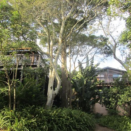 Treehouse Cottage The Crags 외부 사진