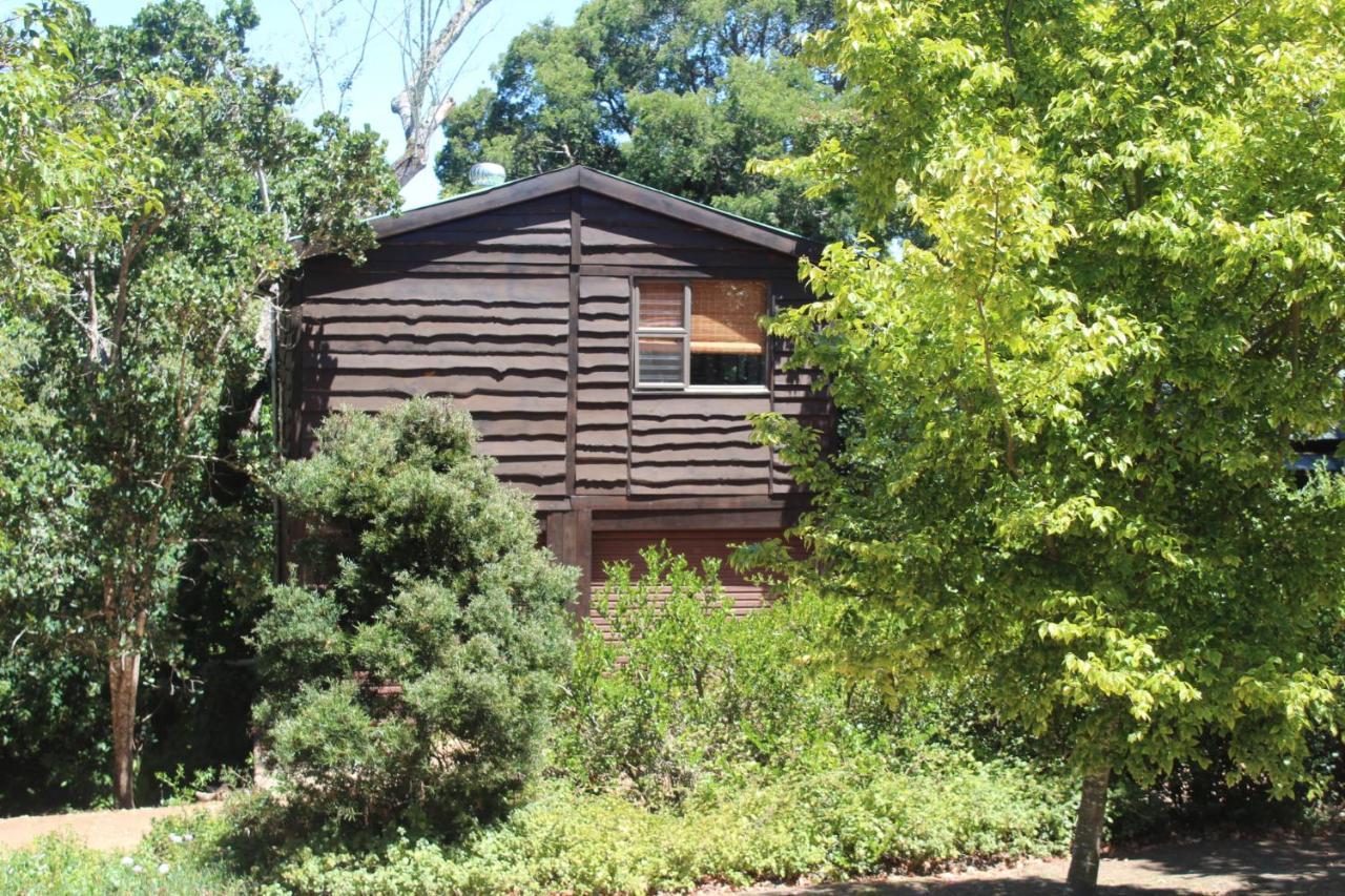 Treehouse Cottage The Crags 외부 사진