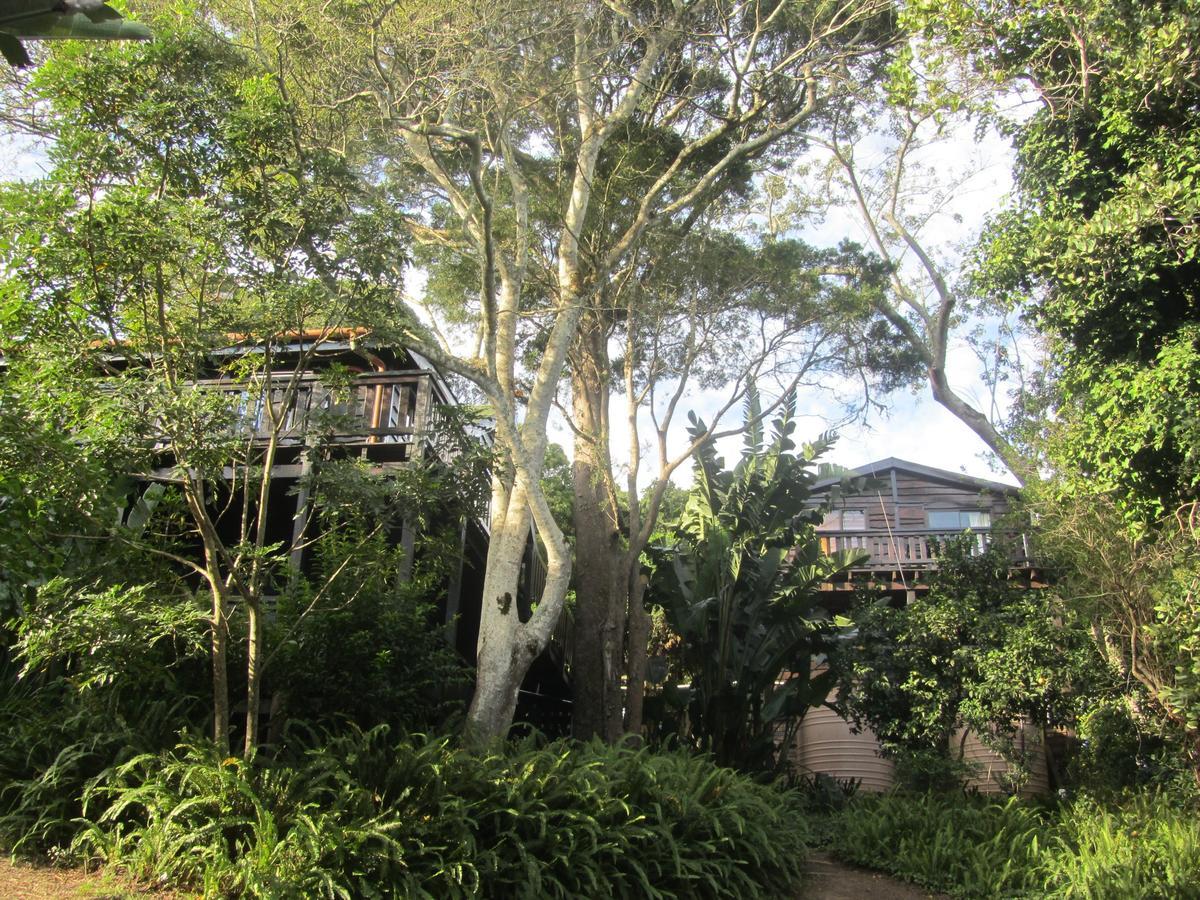 Treehouse Cottage The Crags 외부 사진